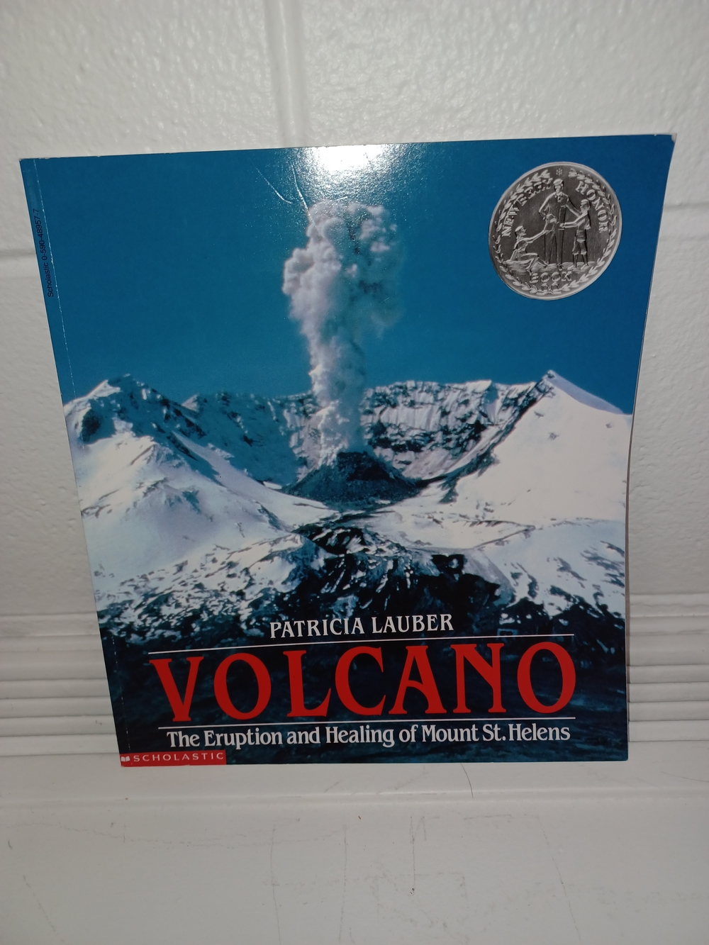 Scholastic Volcano Soft Cover Book